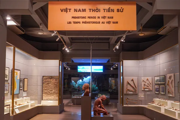 🏛️ Giới thiệu Bảo tàng